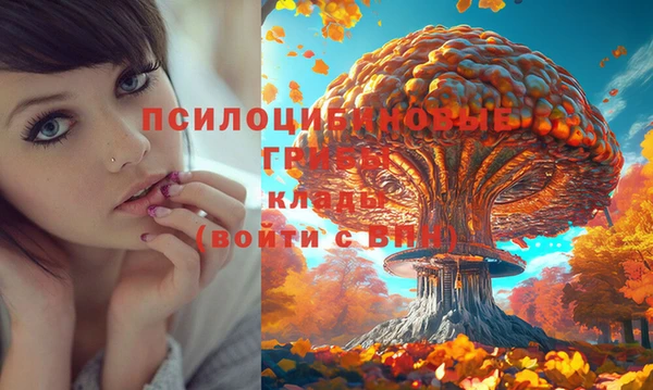 экстази Горняк