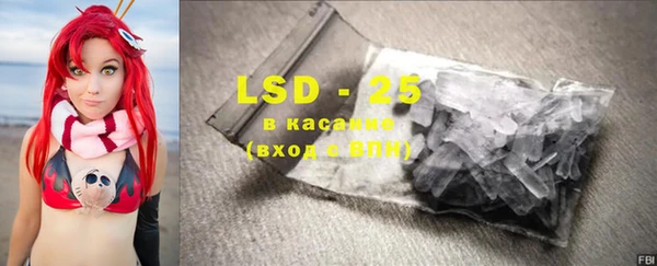 ГАЛЛЮЦИНОГЕННЫЕ ГРИБЫ Вязники