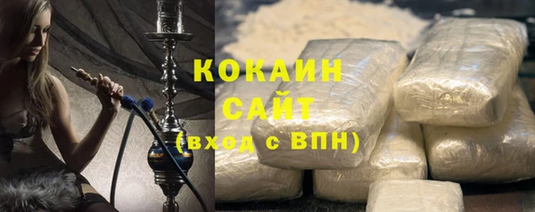 ГАЛЛЮЦИНОГЕННЫЕ ГРИБЫ Горно-Алтайск