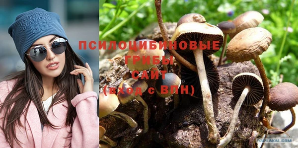 ГАЛЛЮЦИНОГЕННЫЕ ГРИБЫ Вязники