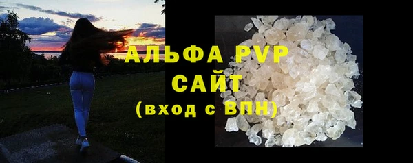 ГАЛЛЮЦИНОГЕННЫЕ ГРИБЫ Вязники