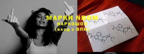 ГАЛЛЮЦИНОГЕННЫЕ ГРИБЫ Вязники