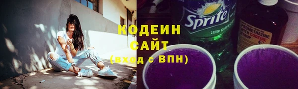 ГАЛЛЮЦИНОГЕННЫЕ ГРИБЫ Горно-Алтайск