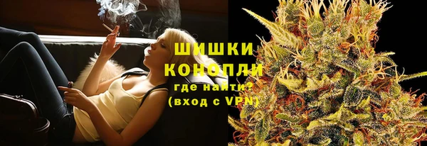 ГАЛЛЮЦИНОГЕННЫЕ ГРИБЫ Вязники